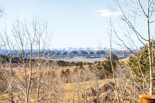 a view of a yard with an ocean