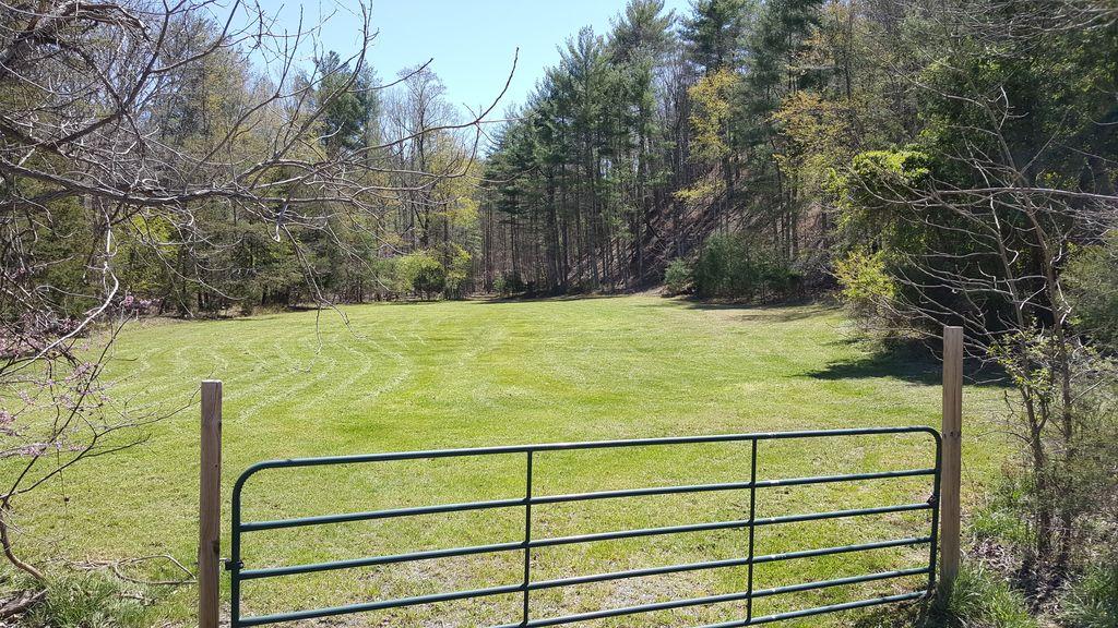 623 Buhrman Road Eagle Rock, VA 24085 - Photo 10 of 33 q