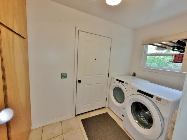 a view of a backyard with plants and large trees