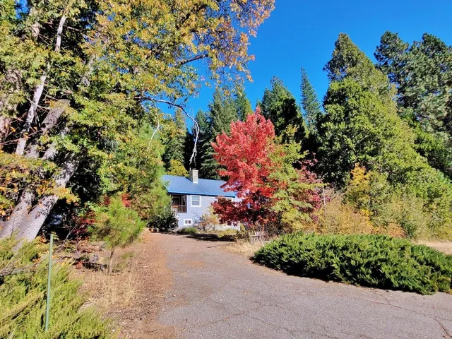 a view of a yard with plants and trees