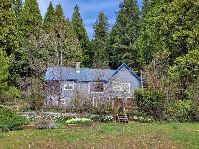 a front view of a house with a yard and trees