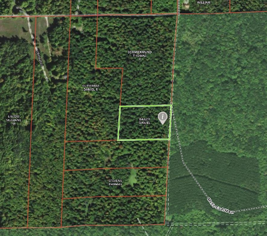 0 23rd Road Mesick, MI 49668 - Photo 3 of 12 Gallery Image 3