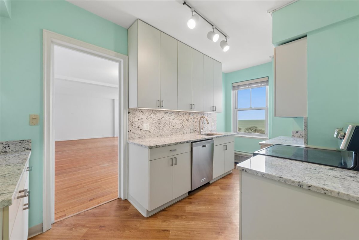 5555 North Sheridan Road, Unit 1017 Chicago, IL 60640 - Photo 6 of 21