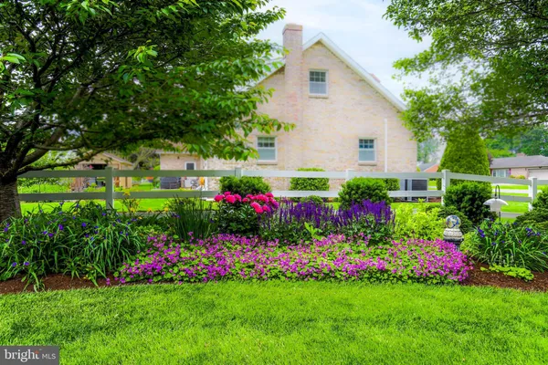 a view of a potted plant sitting in front of a house and a big yard