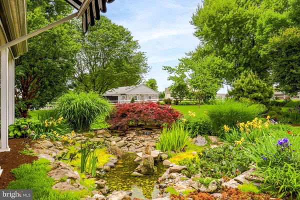 a view of a garden with plants