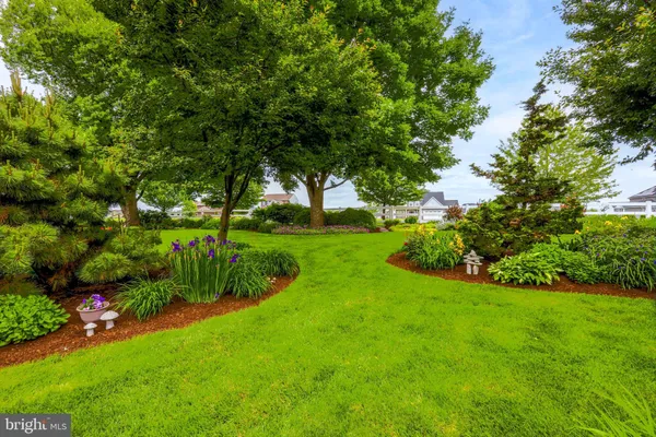 a view of a garden with a tree