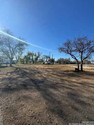 a view of dirt yard with a large tree
