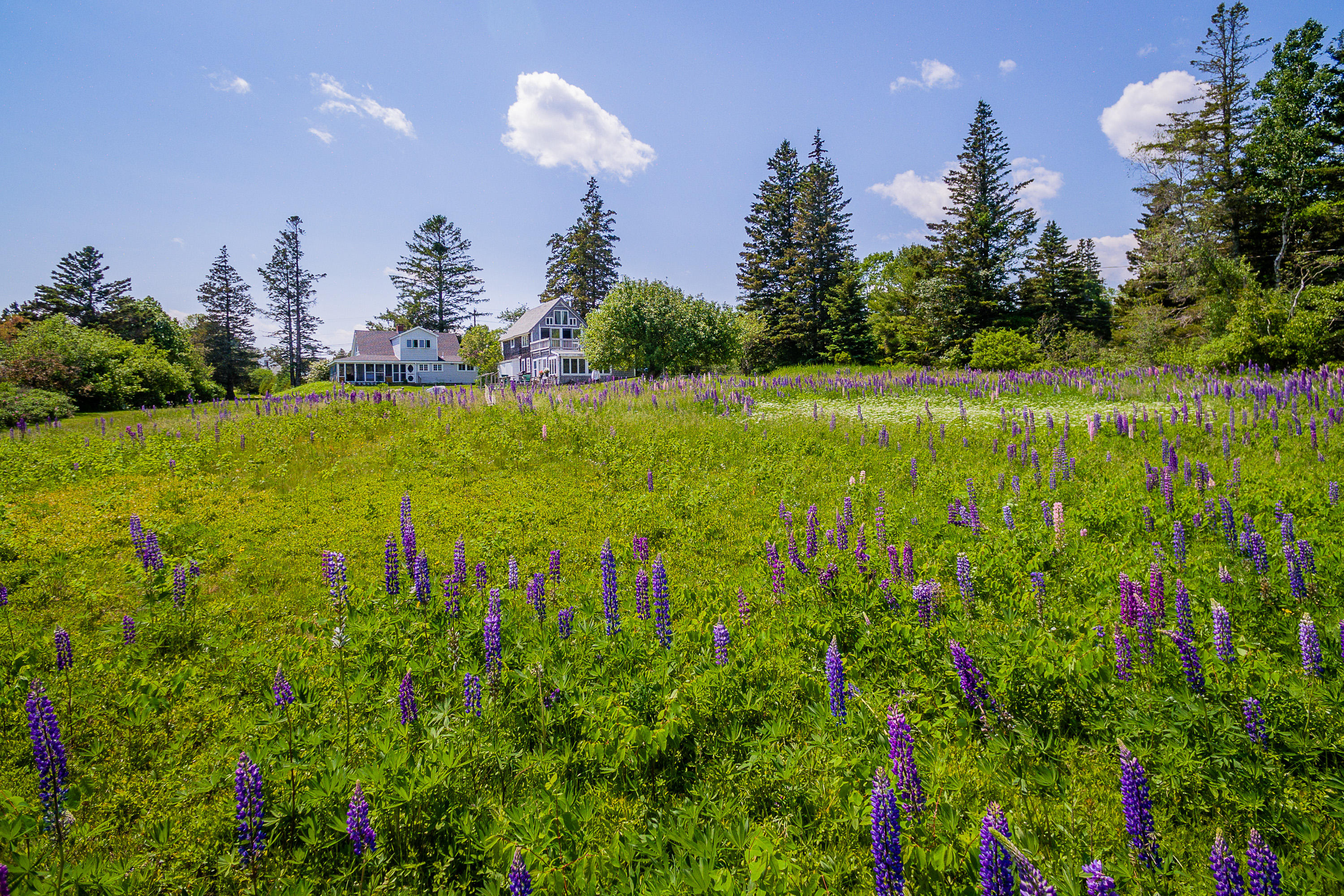 5 Hope Lane St. George, ME 04860 - Photo 8 of 41 5Hope_08_S_print