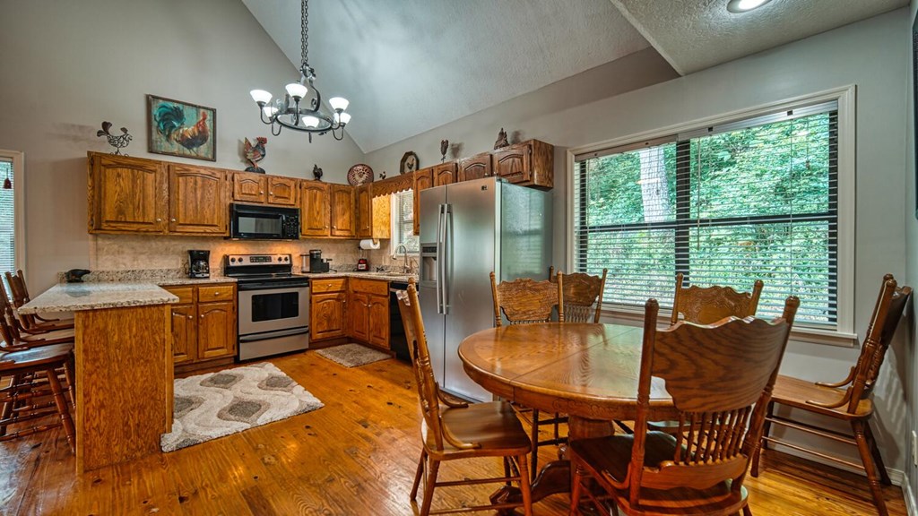 2529 Hunter Road Hiawassee, GA 30546 - Photo 4 of 52