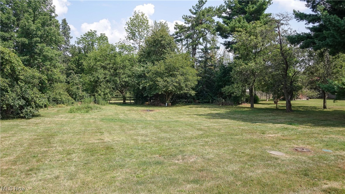515 Ridge Road Hinckley, OH 44233 - Photo 16 of 21 View of yard