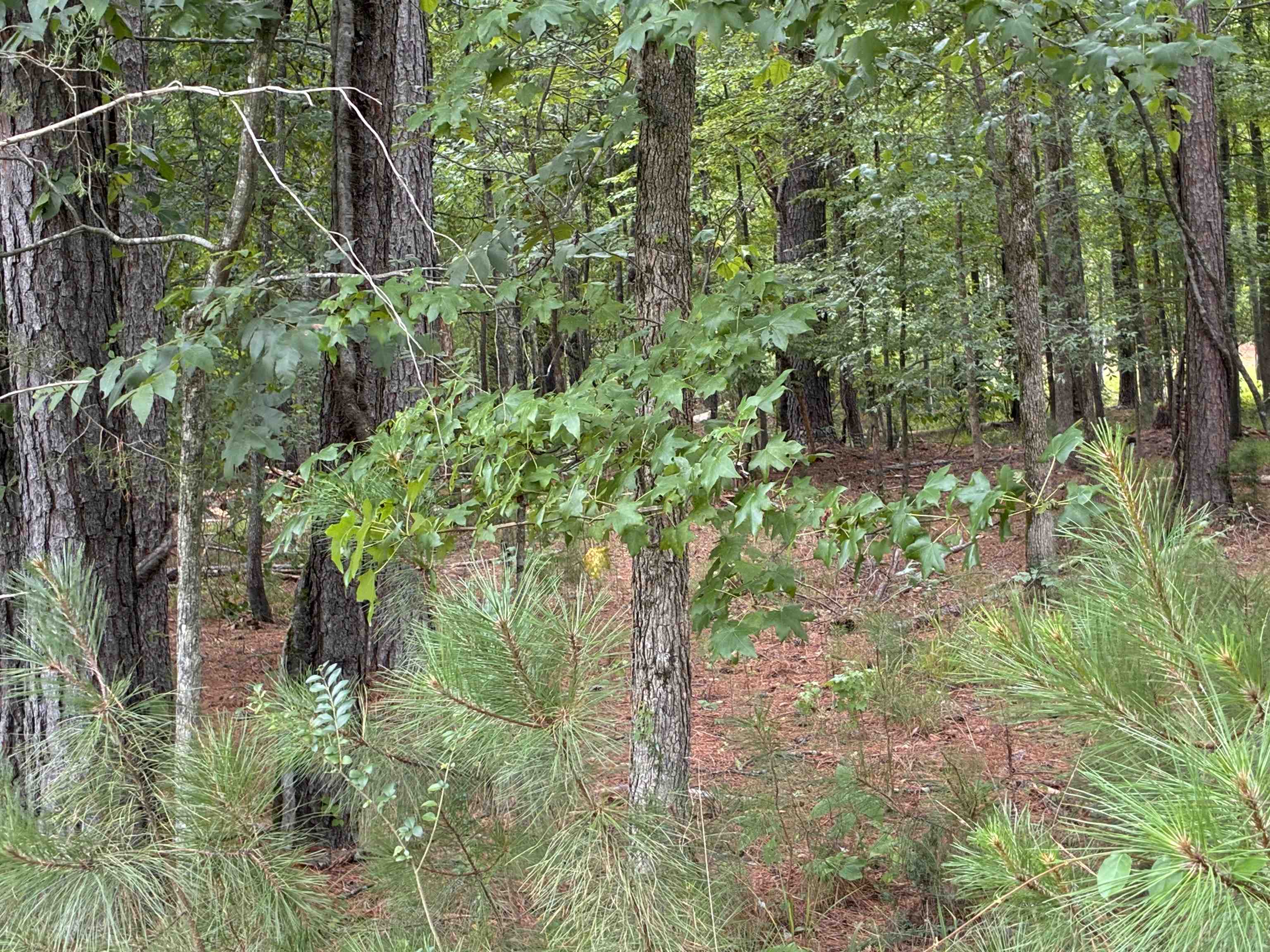 Lot 9 State Rd S-11-54 Gaffney, SC 29340 - Photo 9 of 10