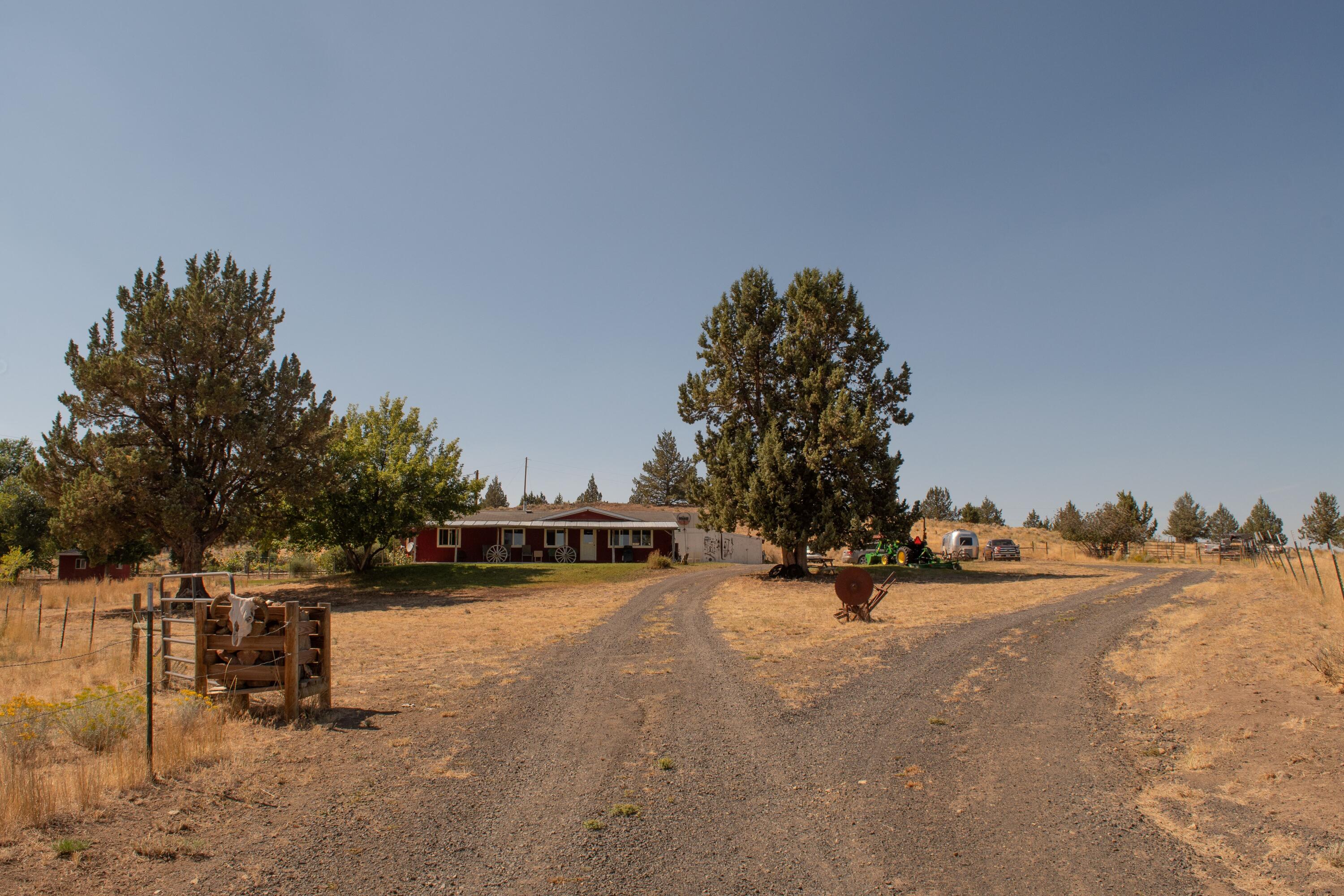DSC_7339