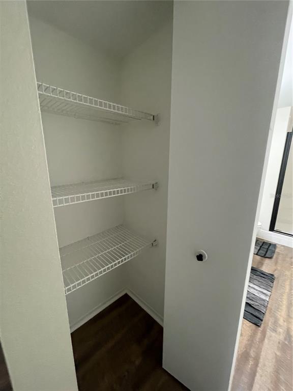 112 Palmetto Court, Unit 112 Oldsmar, FL 34677 - Photo 23 of 46 a view of walk in closet with empty racks