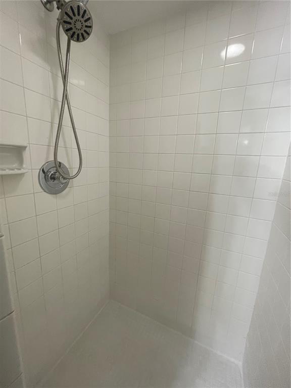 112 Palmetto Court, Unit 112 Oldsmar, FL 34677 - Photo 26 of 46 a bathroom with a shower