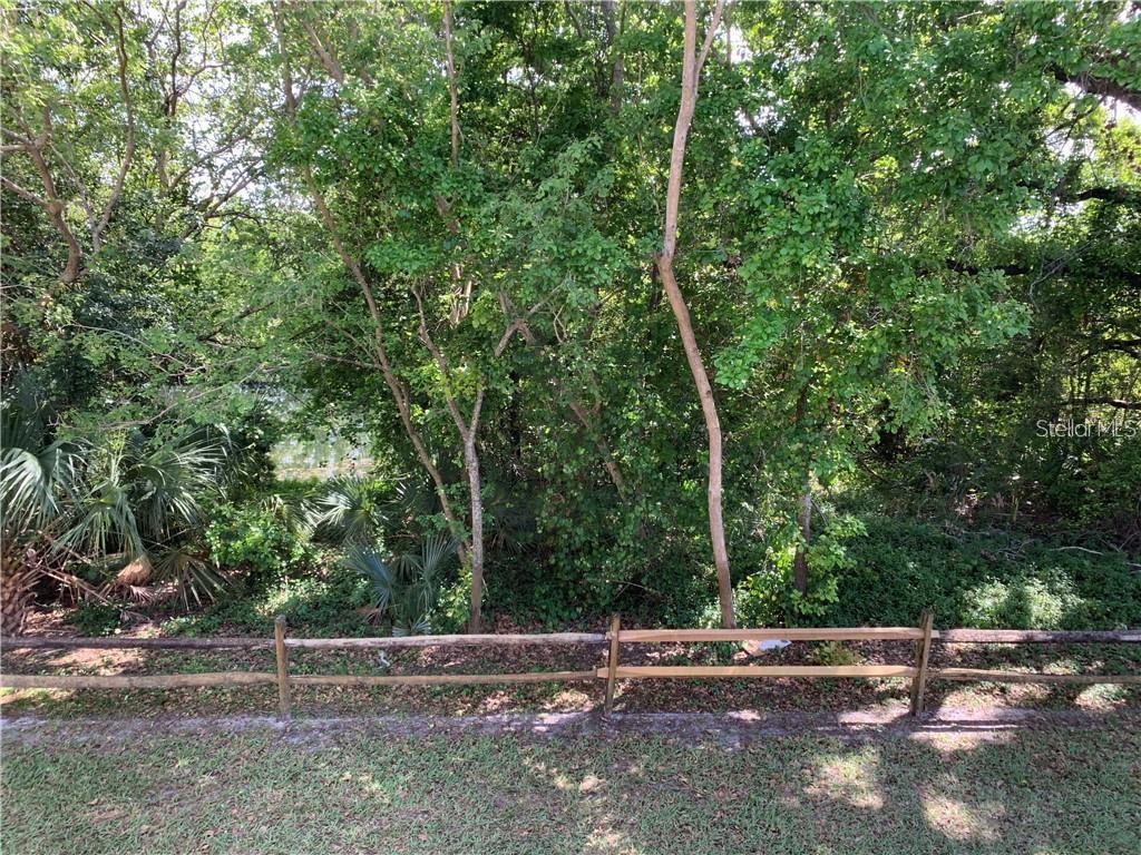 112 Palmetto Court, Unit 112 Oldsmar, FL 34677 - Photo 31 of 46 a backyard of a house with lots of plants and large trees