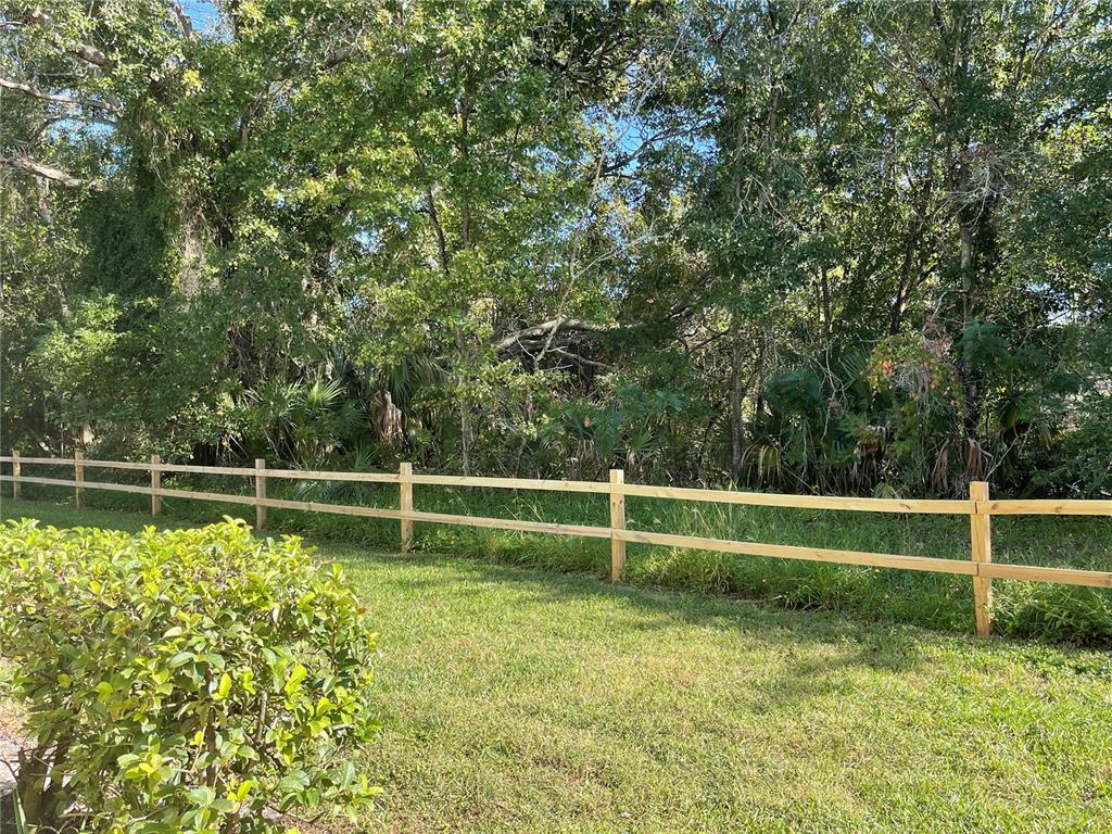 112 Palmetto Court, Unit 112 Oldsmar, FL 34677 - Photo 32 of 46 a backyard of a house with lots of green space and plants