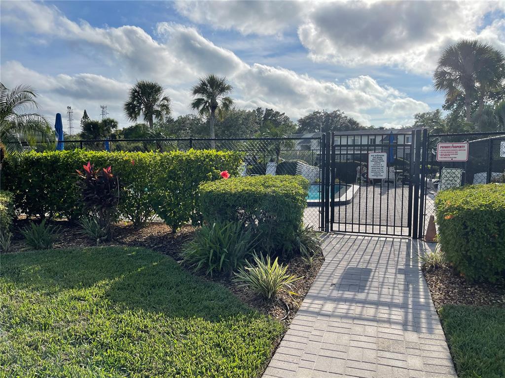112 Palmetto Court, Unit 112 Oldsmar, FL 34677 - Photo 36 of 46 a view of a backyard