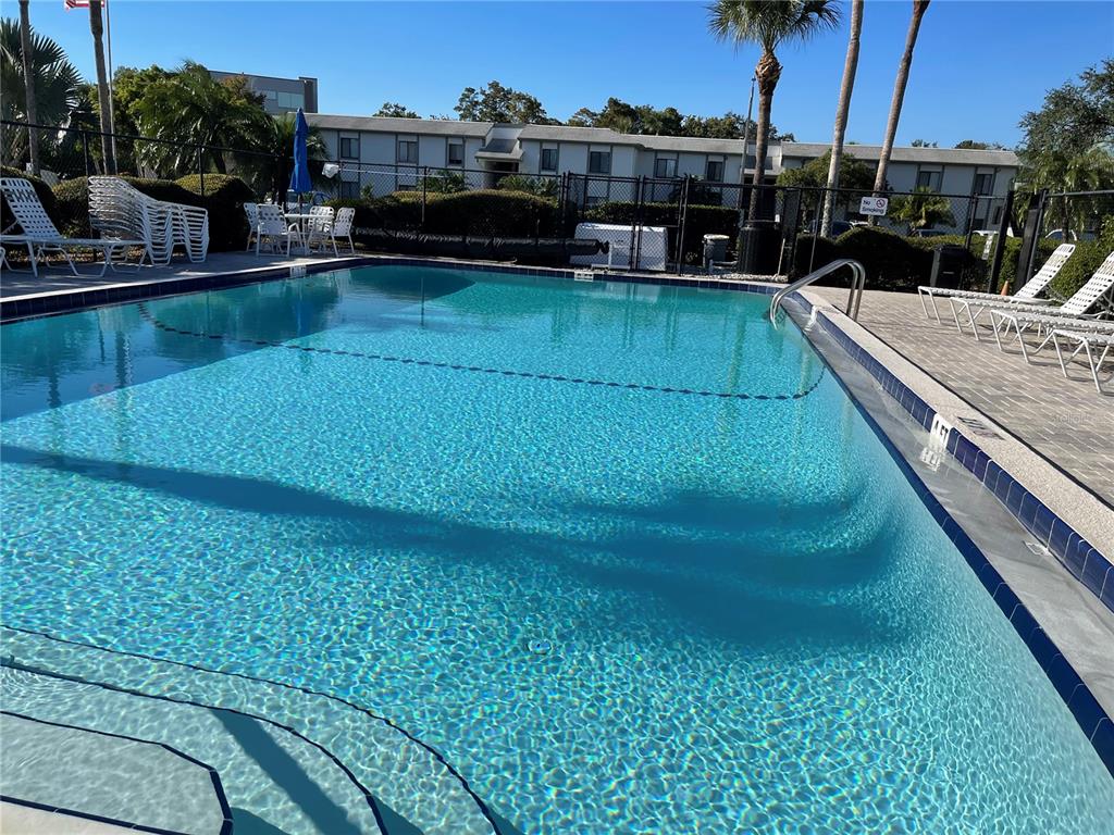 112 Palmetto Court, Unit 112 Oldsmar, FL 34677 - Photo 37 of 46 a view of a swimming pool with a lounge chairs