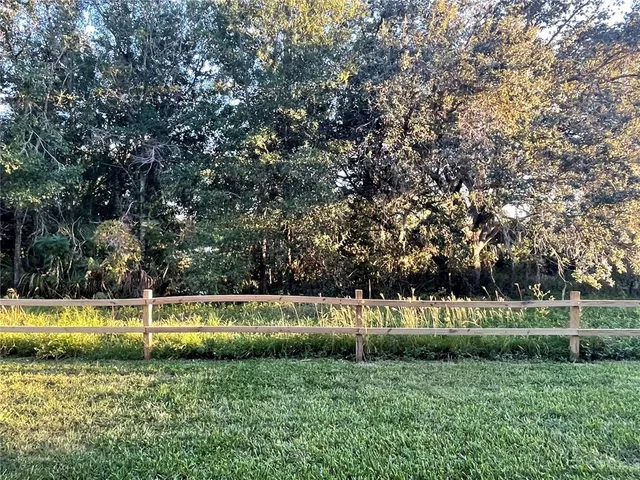 a view of backyard of house