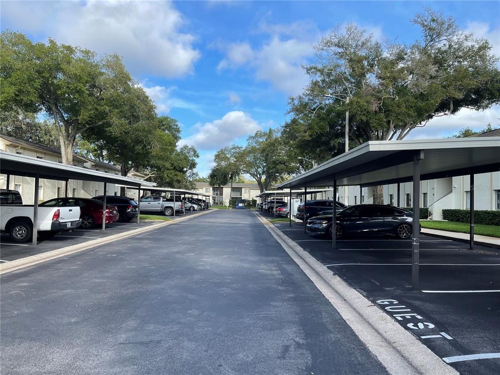 112 Palmetto Court, Unit 112 Oldsmar, FL 34677 - Photo 44 of 46 a view of a house with a yard