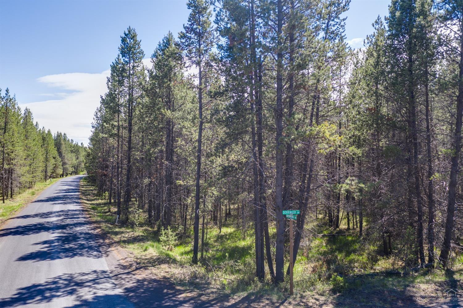 16845 Derringer Road Bend, OR 97707 - Photo 2 of 14 Additional Photo