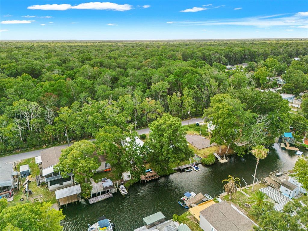 6380 Richard Drive Weeki Wachee, FL 34607 - Photo 51 of 54