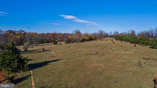 a view of a large yard with lots of trees