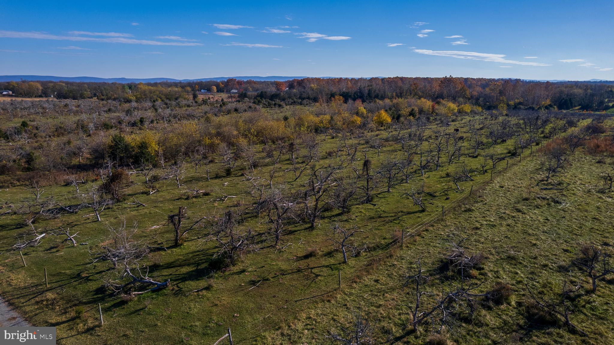 2481 Summit Point Road Summit Point, WV 25446 - Photo 29 of 35 a view of a large yard with large trees