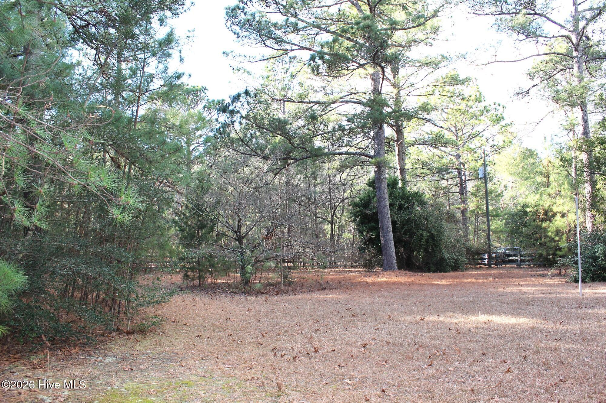 145 Valhalla Road Southern Pines, NC 28387 - Photo 23 of 34 IMG_7787