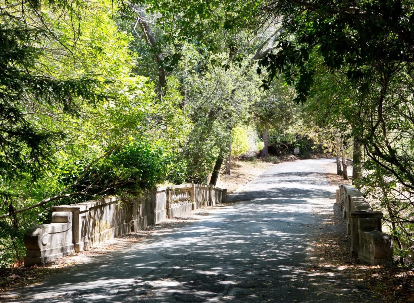 Undisclosed Address Hillsborough, CA 94010 - Photo 8 of 9 a view of road with large trees