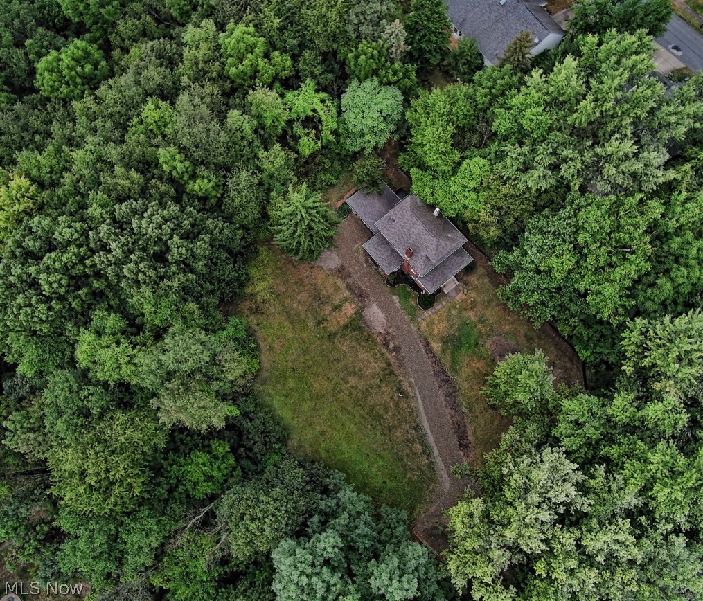 380 Canton Road Akron, OH 44312 - Photo 4 of 35 From 500 ft above, your own 2.5 acre oasis in the middle of the city.