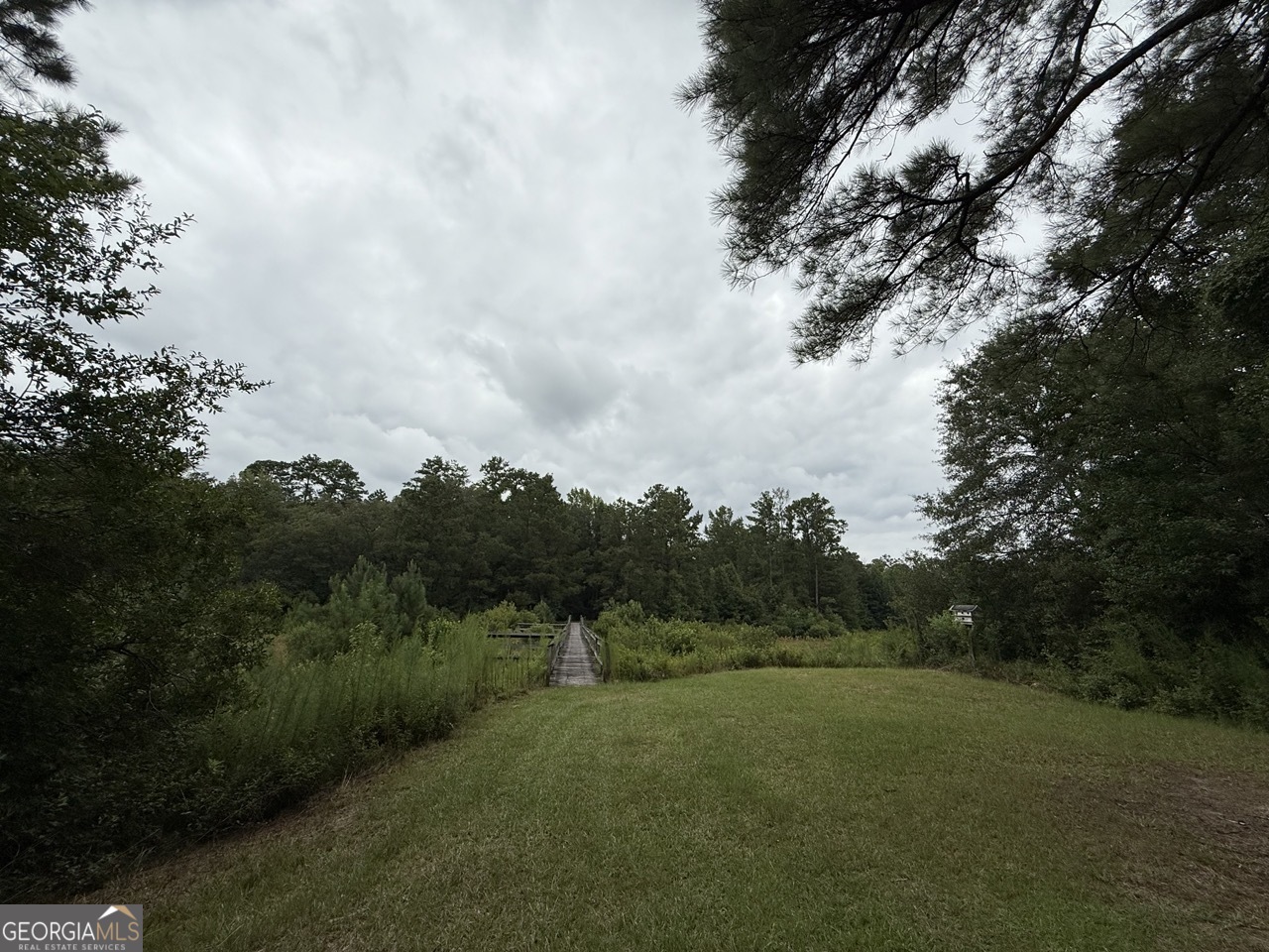 2251 Boy Scout Road Byron, GA 31008 - Photo 11 of 46 a view of a big yard with a large tree