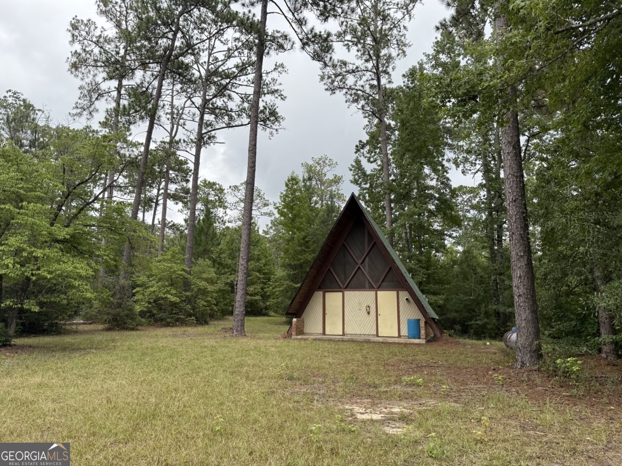 2251 Boy Scout Road Byron, GA 31008 - Photo 25 of 46 a view of wooden house with a yard and large trees
