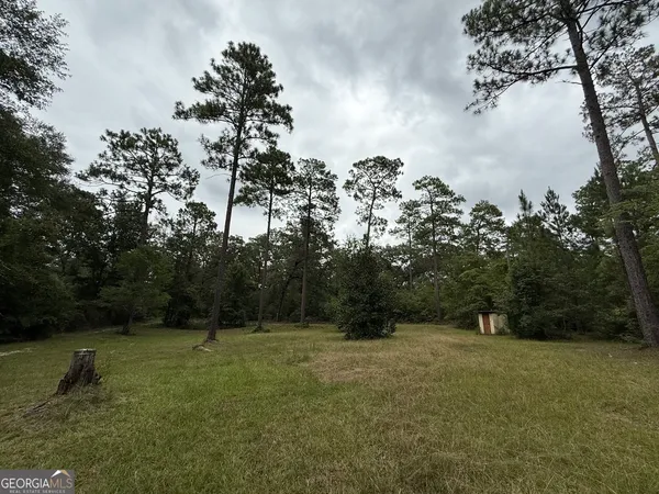 a backyard of a house with lots of green space