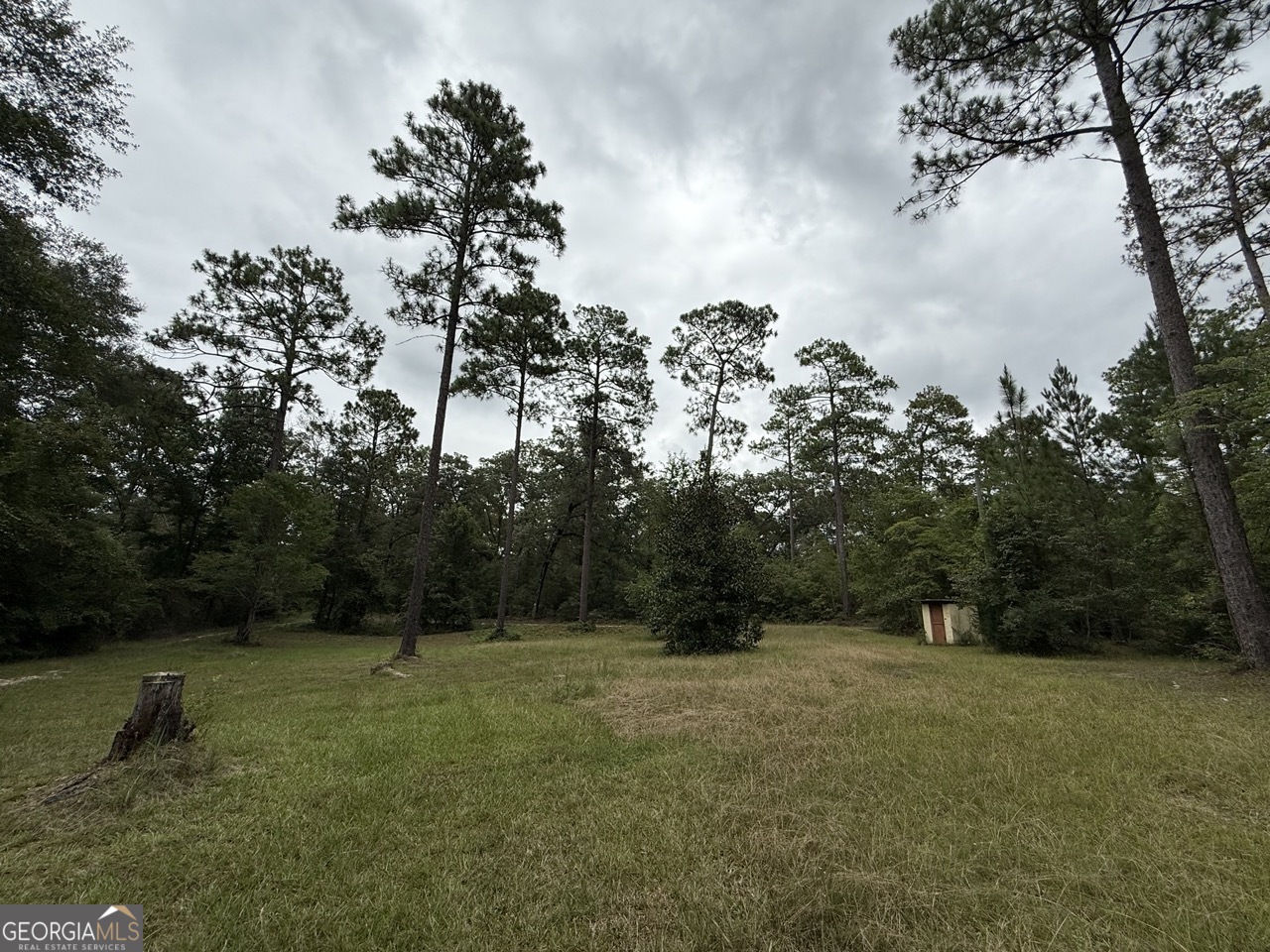 2251 Boy Scout Road Byron, GA 31008 - Photo 26 of 46 a view of outdoor space and yard