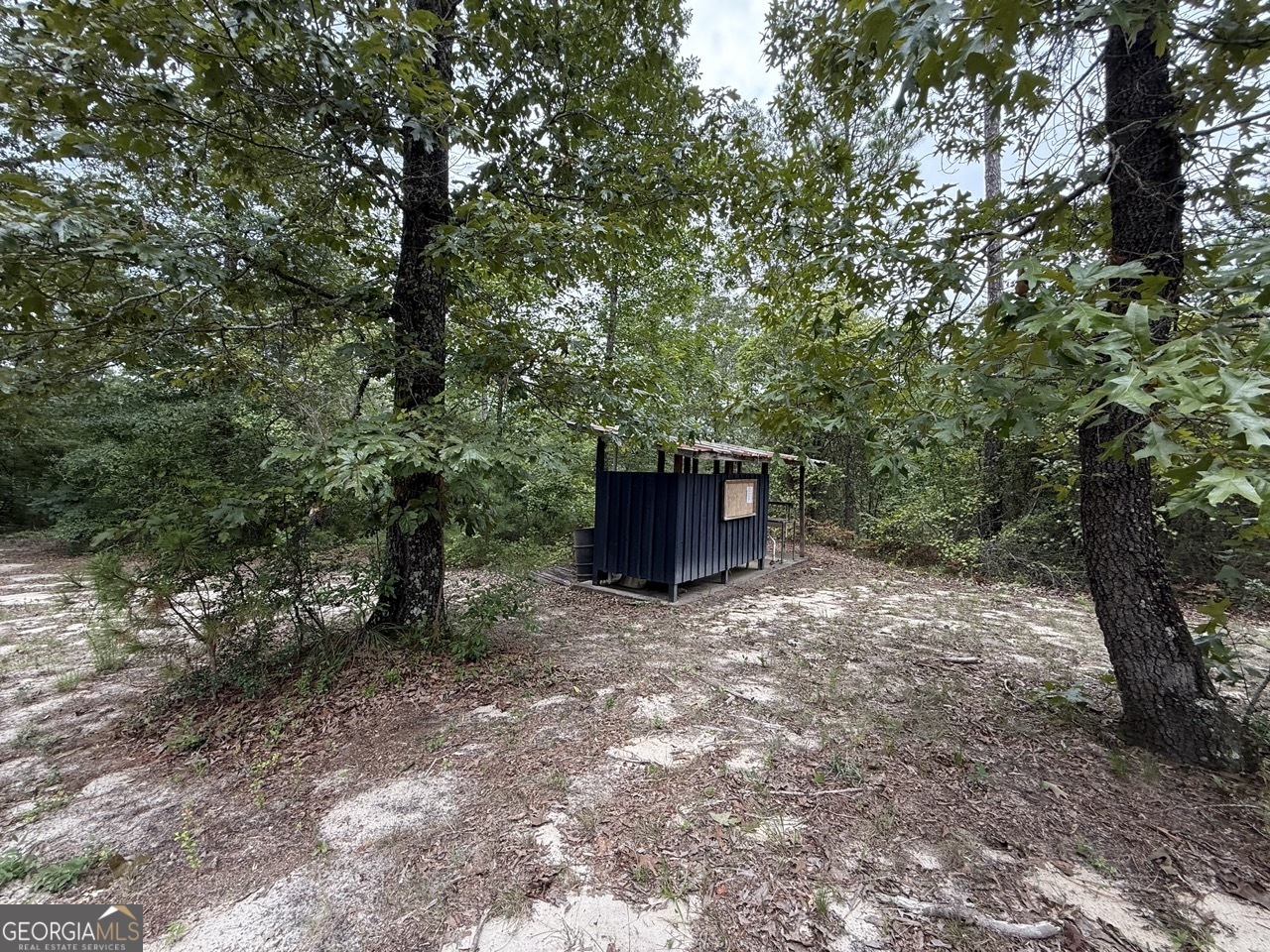 2251 Boy Scout Road Byron, GA 31008 - Photo 32 of 46 a backyard of a house with lots of green space