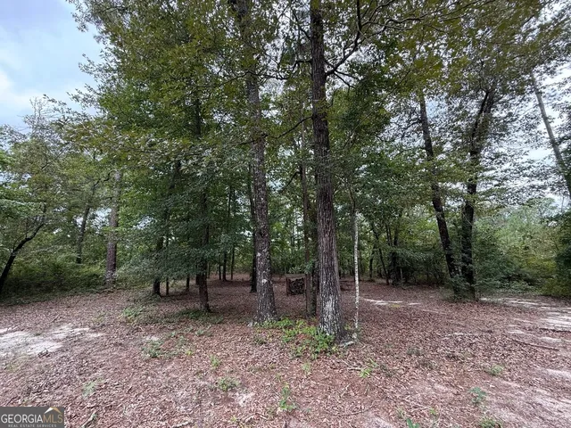 a view of house with a yard