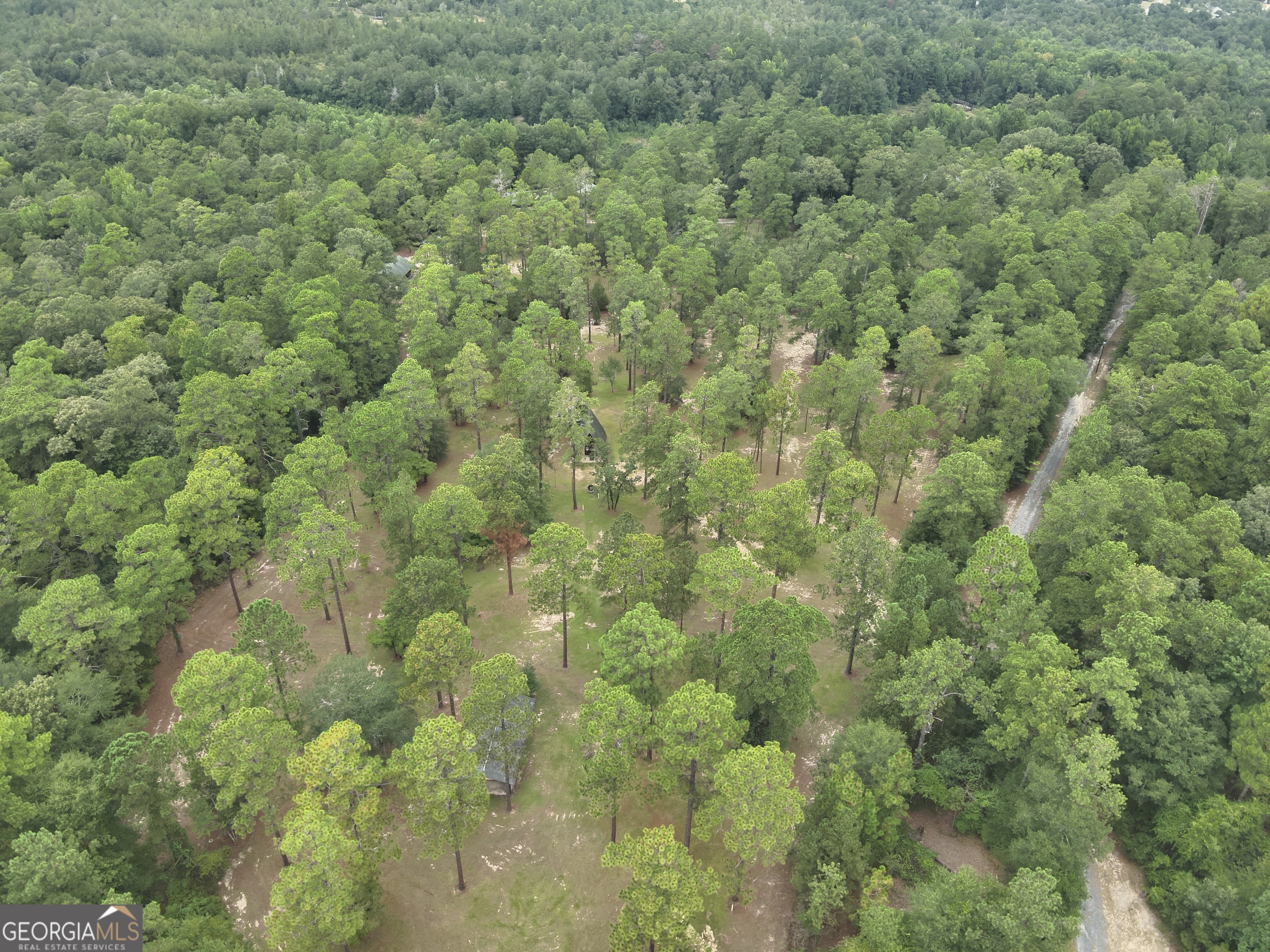 2251 Boy Scout Road Byron, GA 31008 - Photo 41 of 46 a view of a field of grass and trees