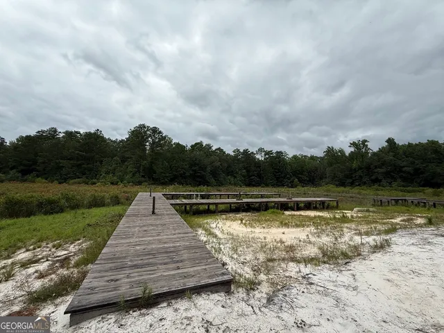 a view of a field with a tree