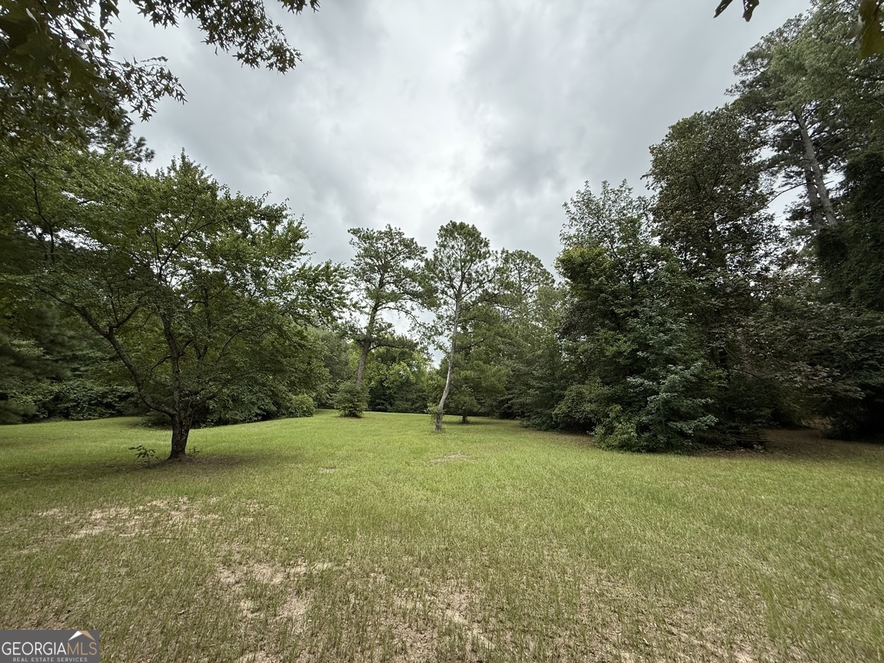 2251 Boy Scout Road Byron, GA 31008 - Photo 10 of 46 a view of a field with a tree