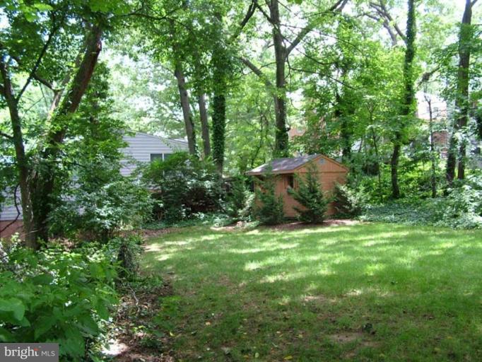 2211 South Arlington Ridge Road Arlington, VA 22202 - Photo 17 of 22 Shed