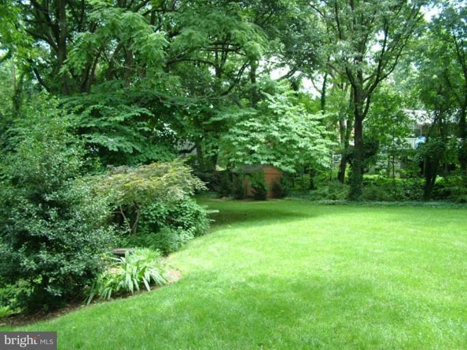 2211 South Arlington Ridge Road Arlington, VA 22202 - Photo 19 of 22 Back yard
