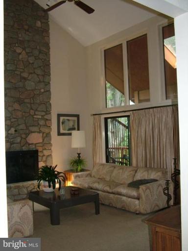 2211 South Arlington Ridge Road Arlington, VA 22202 - Photo 3 of 22 Two story Living room with stone gas fireplace