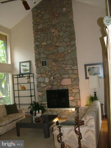 2211 South Arlington Ridge Road Arlington, VA 22202 - Photo 4 of 22 Two story Living Room with stone gas fireplace