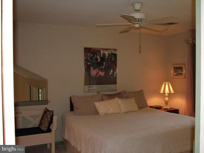 2211 South Arlington Ridge Road Arlington, VA 22202 - Photo 6 of 22 Master Bedroom with ceiling fan