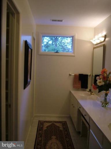 2211 South Arlington Ridge Road Arlington, VA 22202 - Photo 10 of 22 MBA, walk in closet and sep toilet/shower
