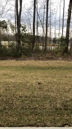 $1,875 | 209 Alston Lane, Summerville, SC 29483