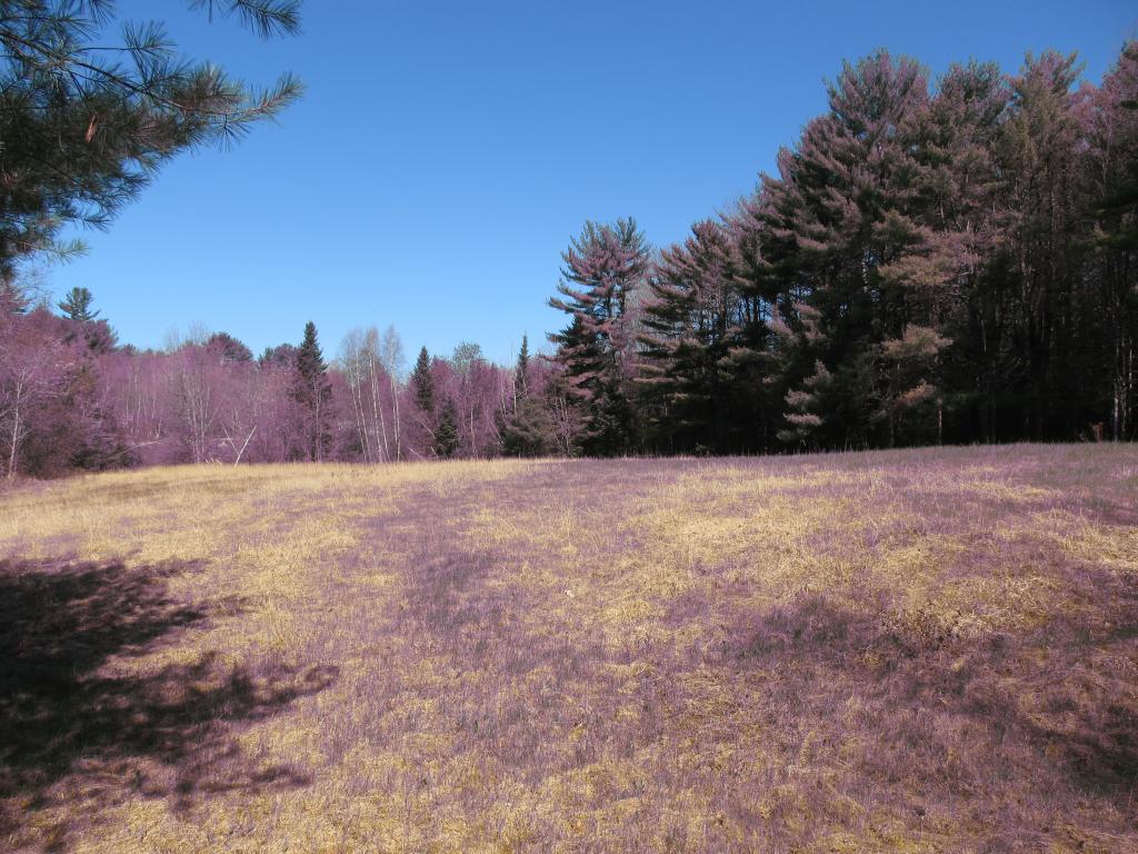 0 Old County Road Brownfield, ME 04010 - Photo 1 of 7