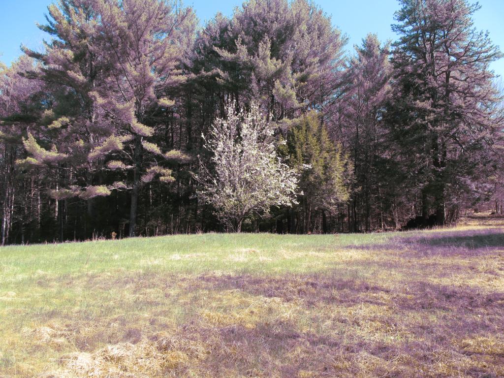0 Old County Road Brownfield, ME 04010 - Photo 2 of 7