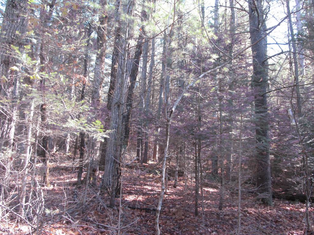 0 Old County Road Brownfield, ME 04010 - Photo 3 of 7